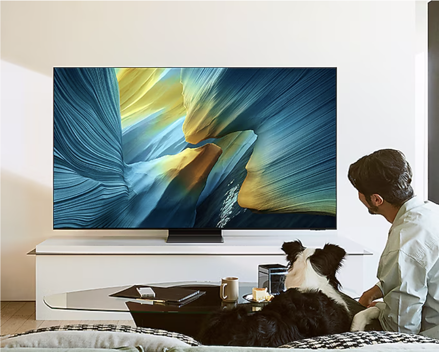 SAMSUNG QE55S95FATXXN televisie 4K UHD - 55''