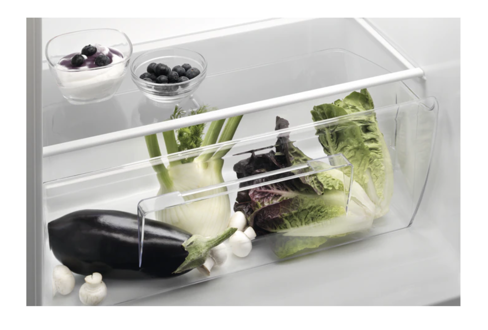 ELECTROLUX LRB3AE12S 500 koelkast zonder vriesvak - 122cm ELECTROLUX LRB3AE12S 500 koelkast zonder vriesvak - 122cm