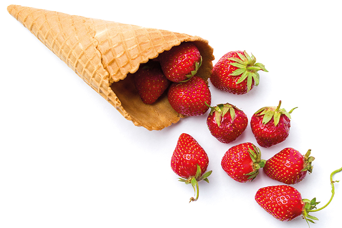 FRITEL 142357 bakplaat FRITEL 142357 bakplaat