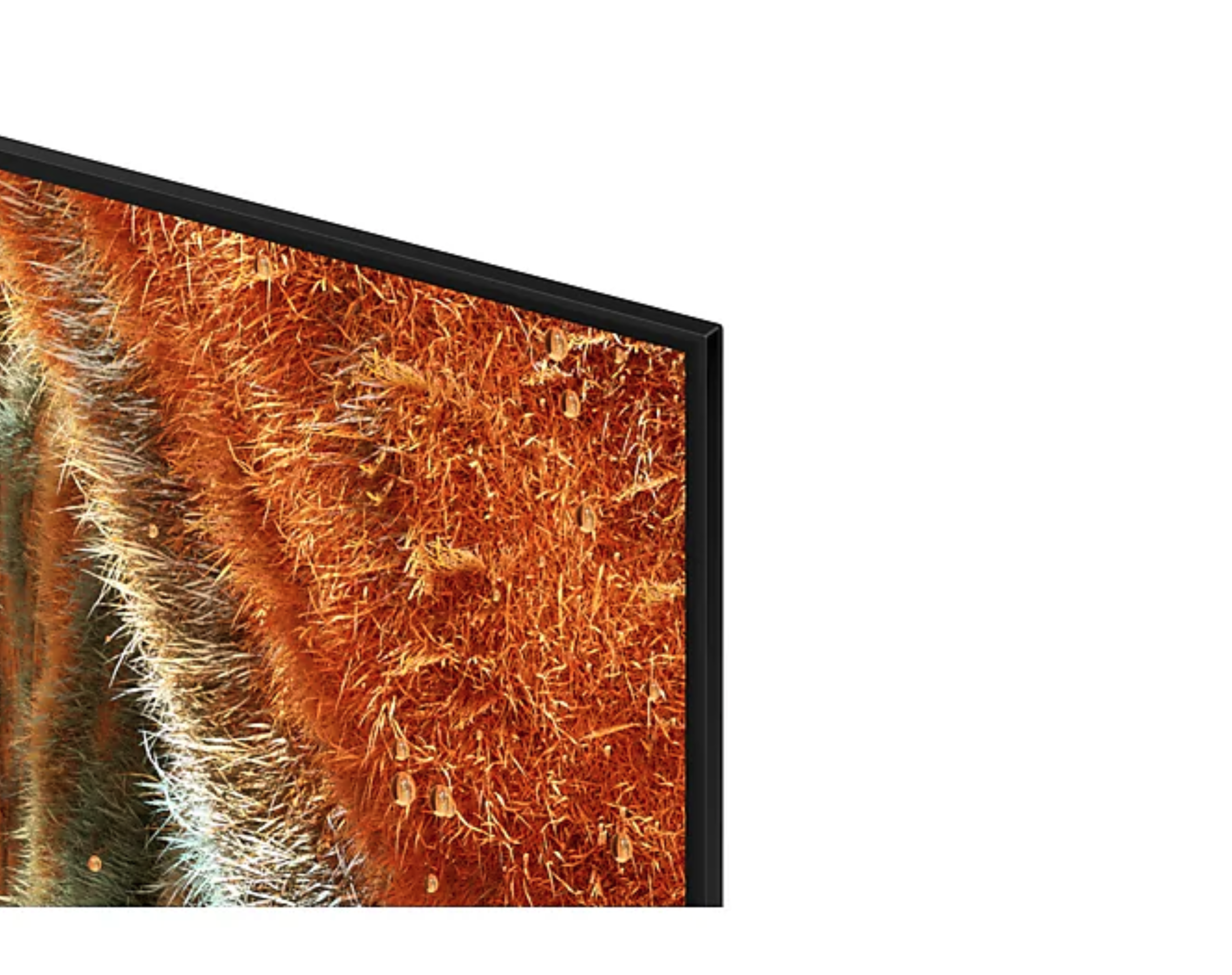 SAMSUNG QE85QN77FATXXN televisie 4K UHD - 85"
