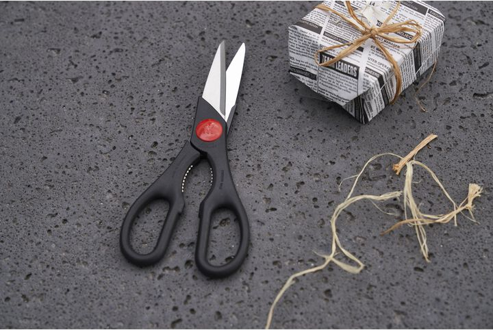 ZWILLING 43967-200-0 Schaar