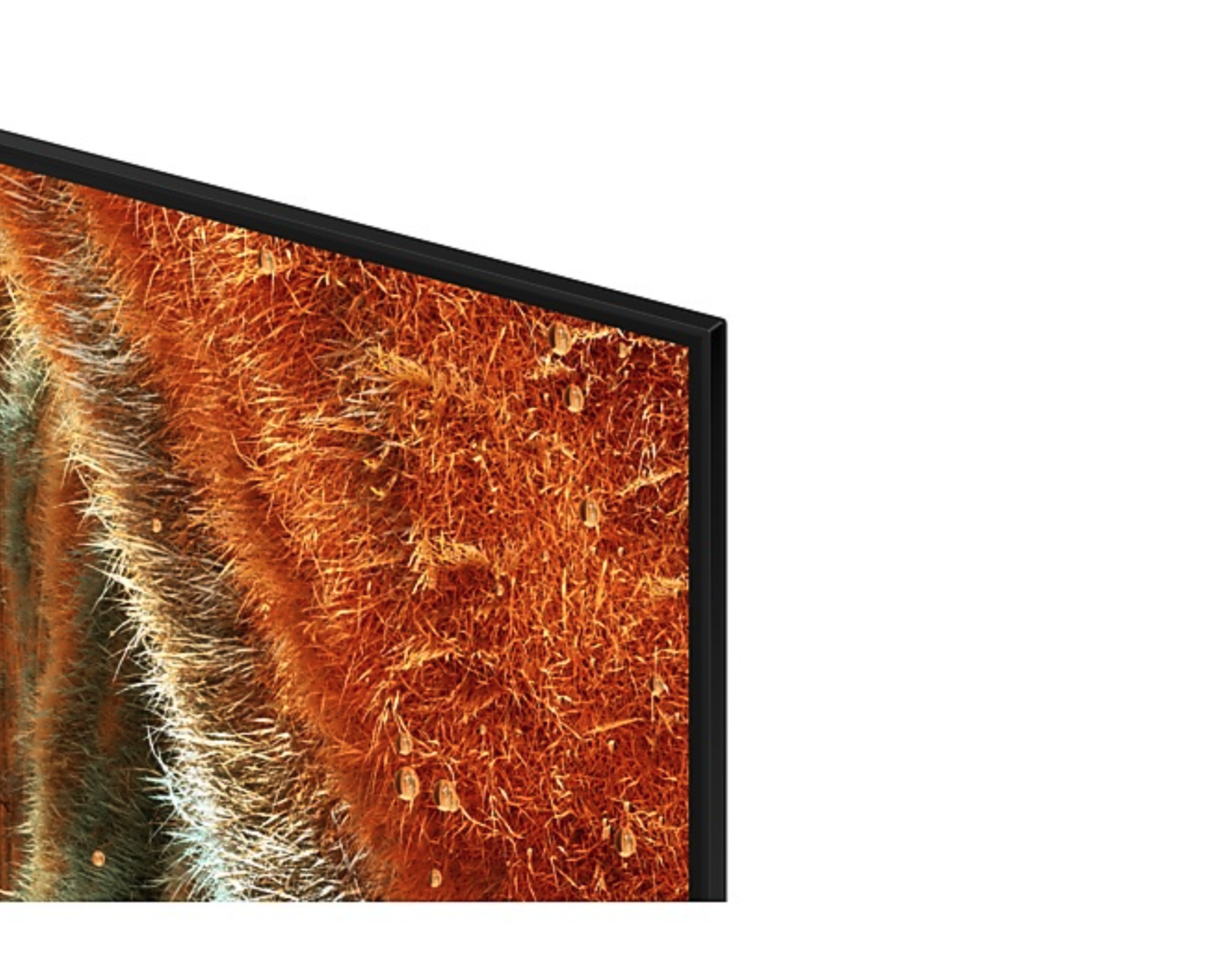 SAMSUNG QE75QN77FATXXN televisie 4K UHD - 75"